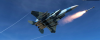 DCS F15.png